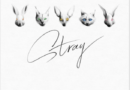 《Stray》—Strayz